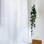 Apartament Vasa Vasa Palermo